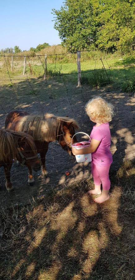 Pokoje Goscinne Pod Jabloniami Ujście-Darłowskie Kültér fotó