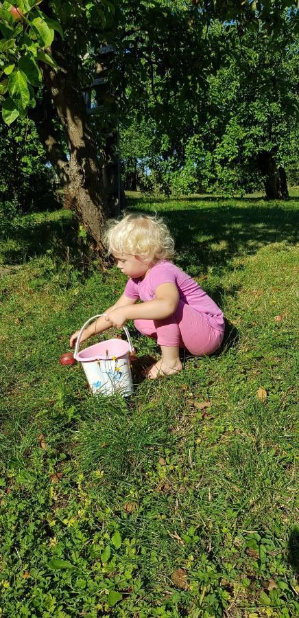 Pokoje Goscinne Pod Jabloniami Ujście-Darłowskie Kültér fotó