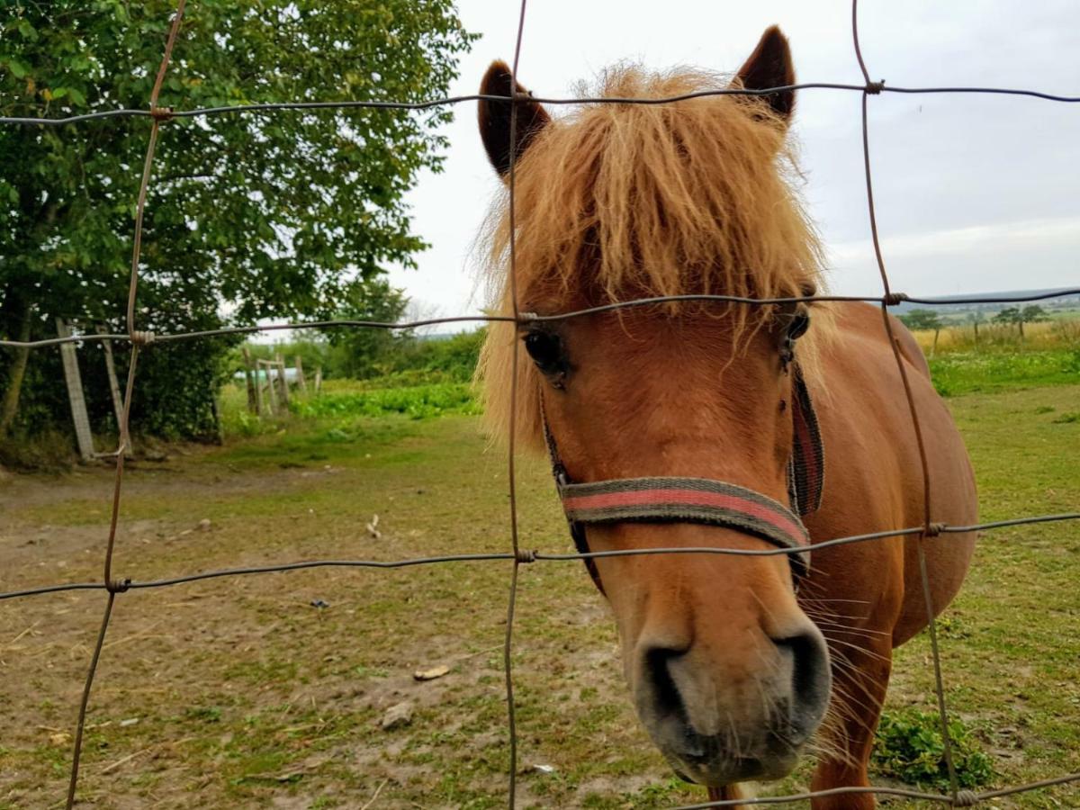 Pokoje Goscinne Pod Jabloniami Ujście-Darłowskie Kültér fotó
